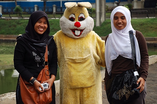 "taman mini", rabbit, indonesia